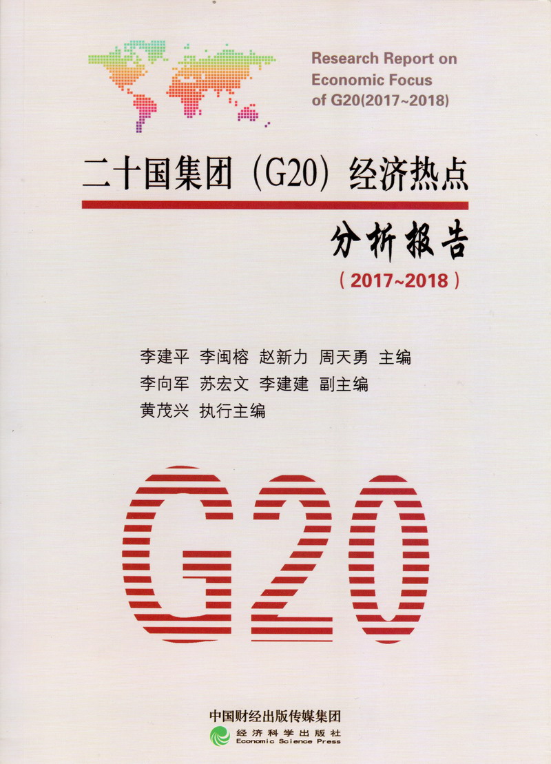 鸡巴操护士的浪逼视频二十国集团（G20）经济热点分析报告（2017-2018）